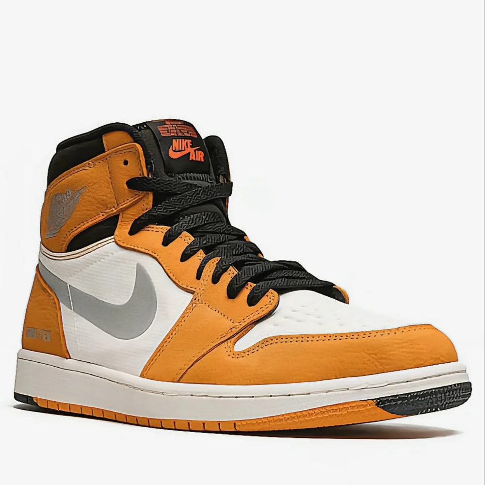 NIB Air Jordan 1 Element Gore-Tex 